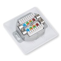Koscom Netzwerkdose CAT 6 weiß, 2xRJ45