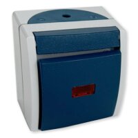 Busch-Jaeger 2601/6 SKW-53 Kontroll-WS+Glimml.