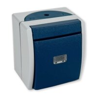 Busch-Jaeger 2621 W-53-206 Taster, Wechsler,1-pol