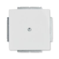 Busch-Jaeger 1742-84 Zentralscheibe Blindabdeckung