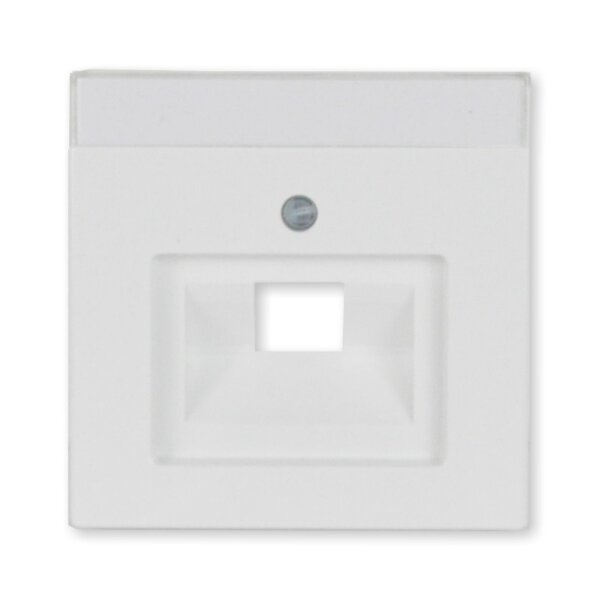 Busch-Jaeger 1803-84 Zentralscheibe UAE 1-fach