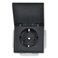 Busch-Jaeger 20 EUK-885 Steckdose, Einsatz