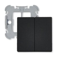 Busch-Jaeger 1785-885 Wippe, 2-fach