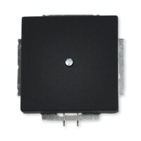 Busch-Jaeger 1742-885 Zentralscheibe Blindabd.