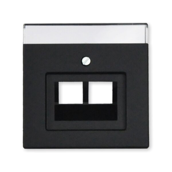 Busch-Jaeger 1803-02-885 Zentralscheibe UAE 2-fach